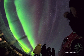 aurora hunters looking at aurora
                near Akureyri