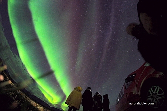 aurora hunters looking at aurora
                near Akureyri